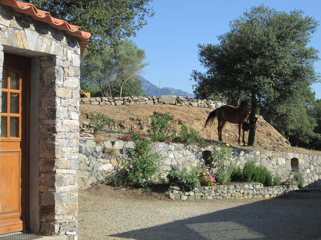 L'Albadu Villa Amantea Exterior foto
